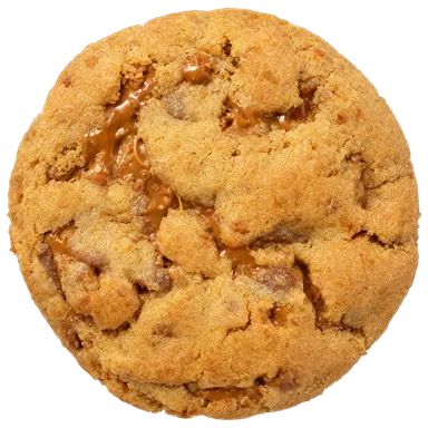 Lotus Biscuit cookie